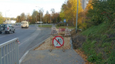 Лужа - 6 - остановка.jpg